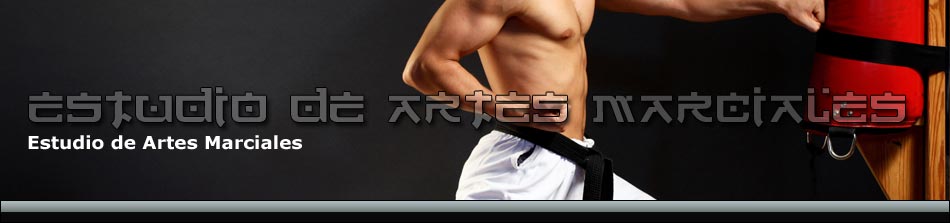 Estudio de Artes Marciales Hapkido Taekwondo Tai Chi Chuan Aikido Kali Choi Kwang Do Krav Maga