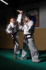 Taewkondo Tecnicas de Taewkondo Dojo Escuela Clases Dan Taewkondo Techniques Entrenamiento Buenos Aires