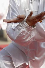 Tai Chi Chuan Chi Kung Tecnicas de Tai Chi Chuan Chi Kung Dojo Escuela Clases Tai Chi Chuan Chi Kung Techniques Entrenamiento Buenos Aires