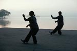 Tai Chi Chuan Chi Kung Tecnicas de Tai Chi Chuan Chi Kung Dojo Escuela Clases Tai Chi Chuan Chi Kung Techniques Entrenamiento Buenos Aires